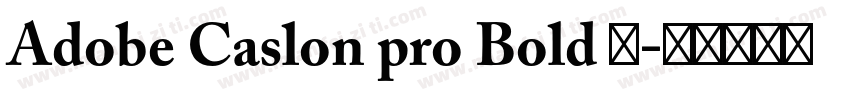 Adobe Caslon pro Bold 粗字体转换